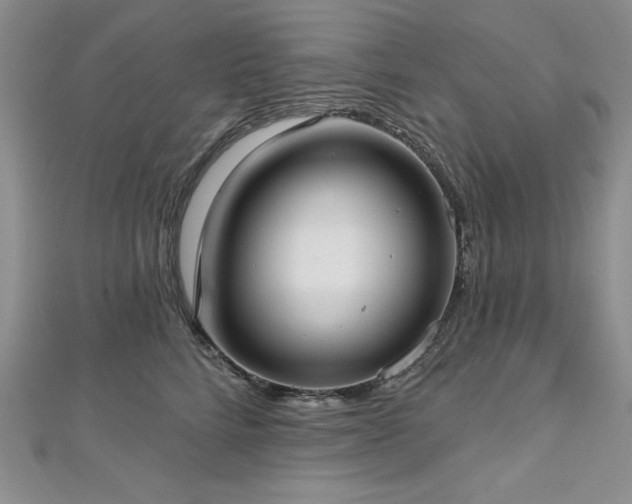 X0000113160712200909041255