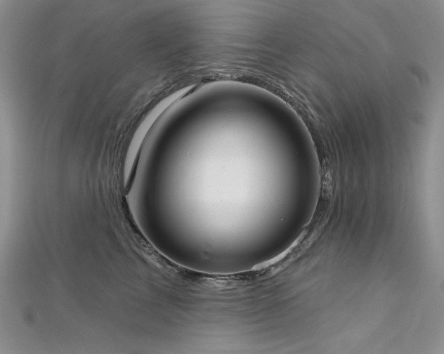 X0000113160713200909041255