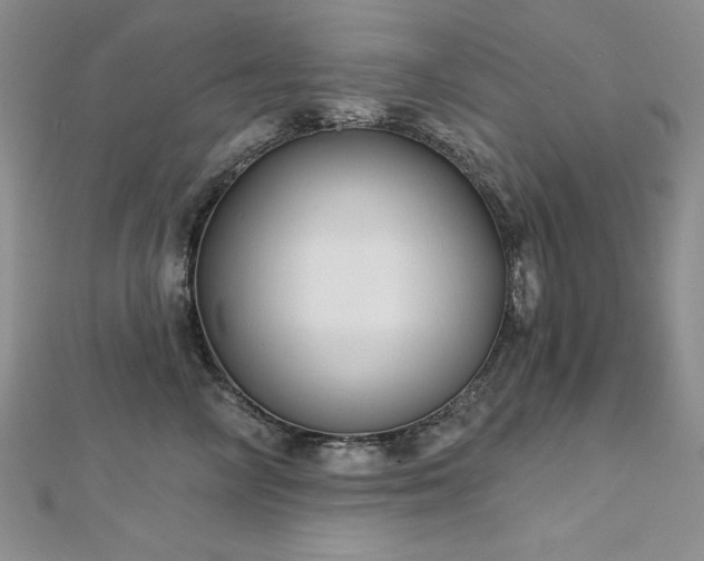 X0000113160714200909041255