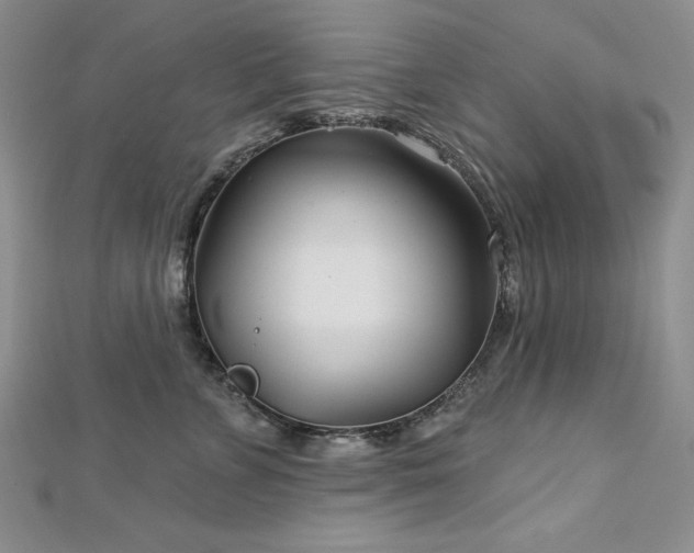 X0000113160715200909041255