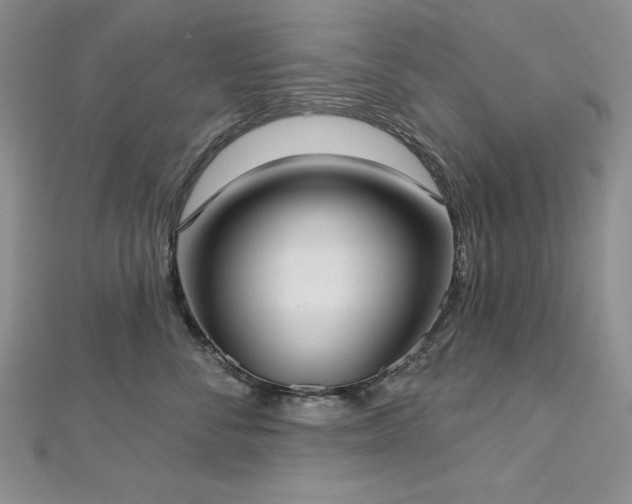 X0000113160716200909041255