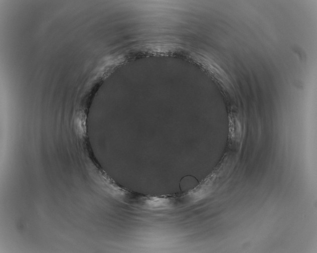 X0000113160718200909041255