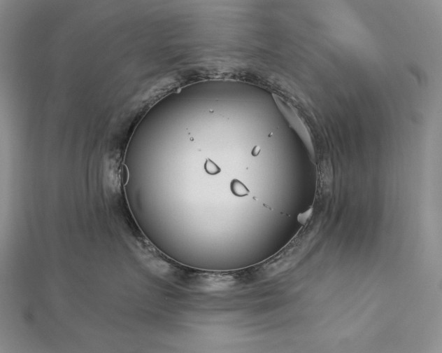 X0000113160719200909041255