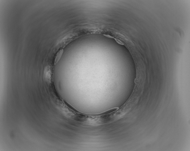 X0000113160720200909041255