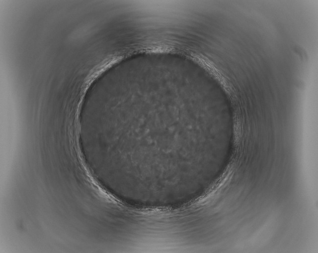 X0000113160721200909041254