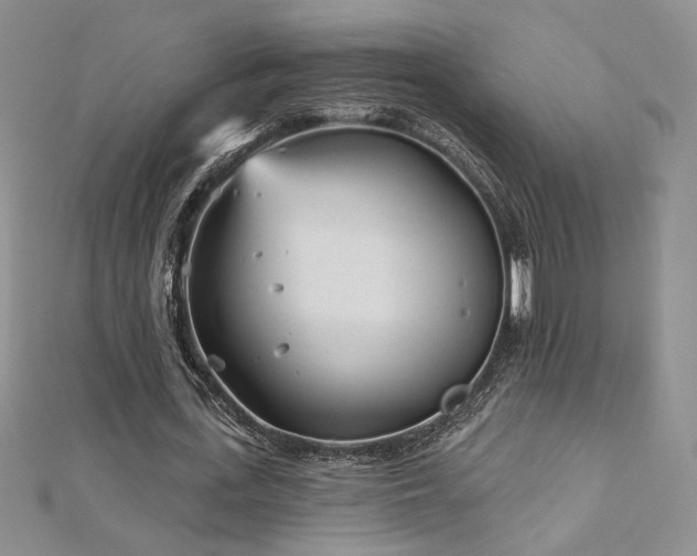 X0000113160723200909041254
