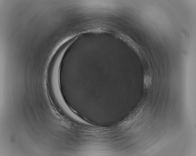 X0000113160724200909041254