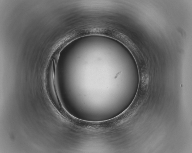 X0000113160725200909041255