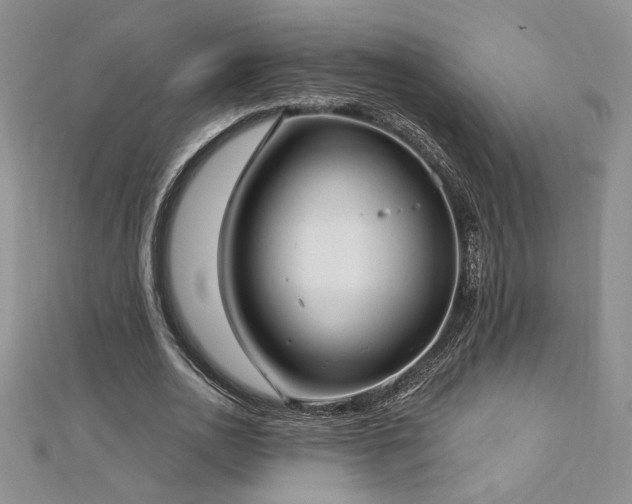 X0000113160726200909041255