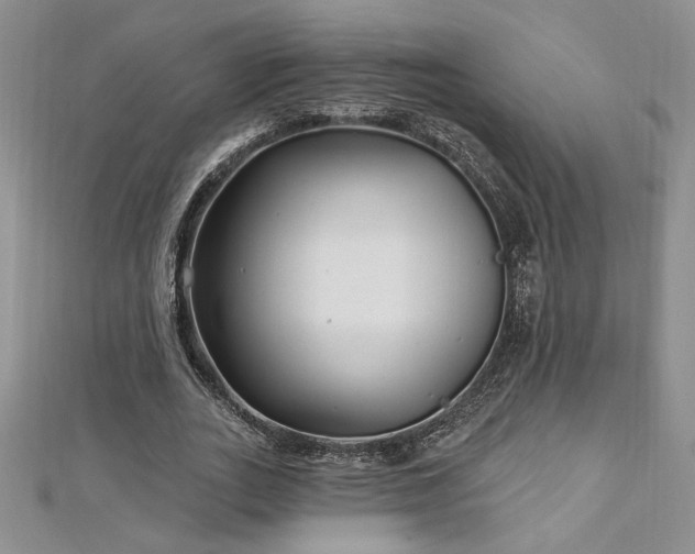 X0000113160727200909041255
