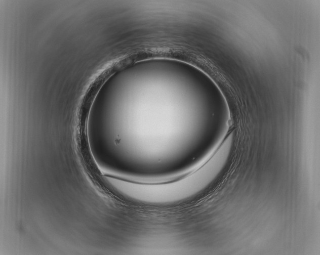 X0000113160728200909041255