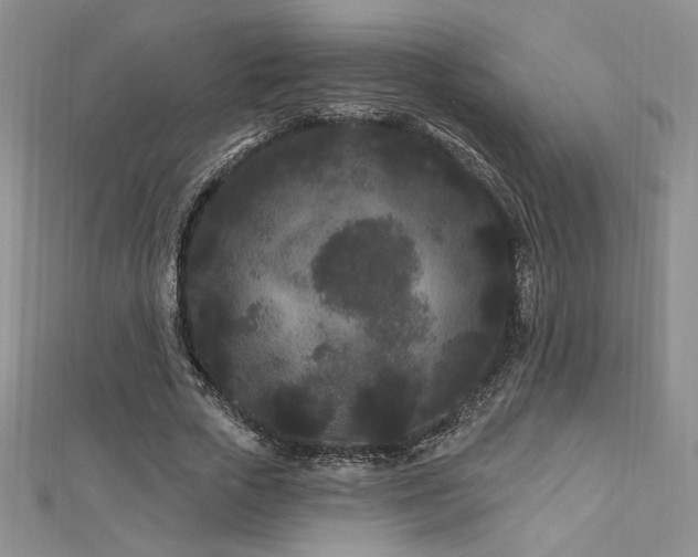 X0000113160729200909041255