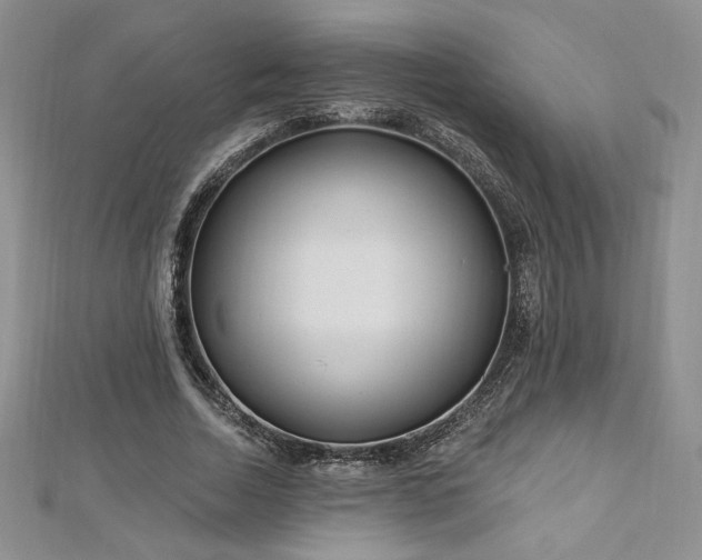 X0000113160730200909041255