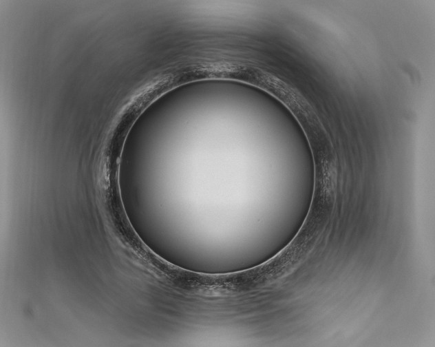 X0000113160731200909041255