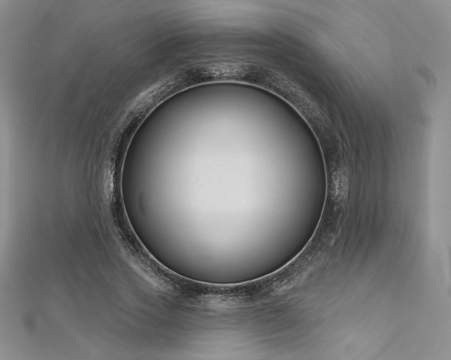 X0000113160733200909041255