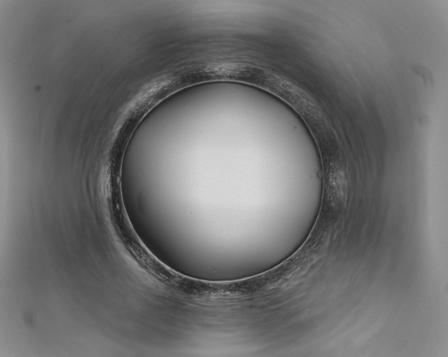 X0000113160734200909041255
