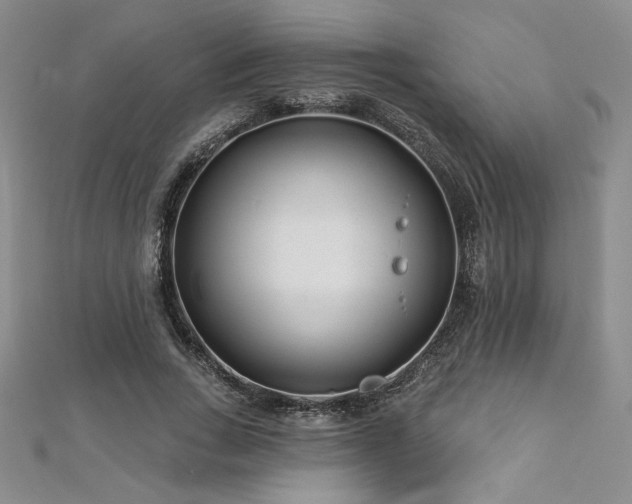 X0000113160735200909041255