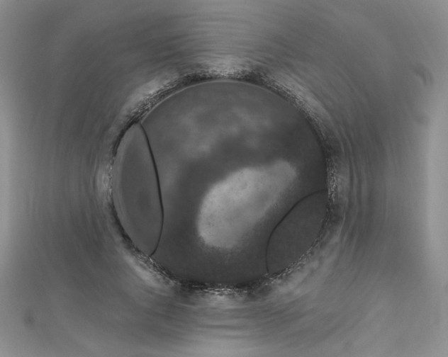 X0000113160736200909041255