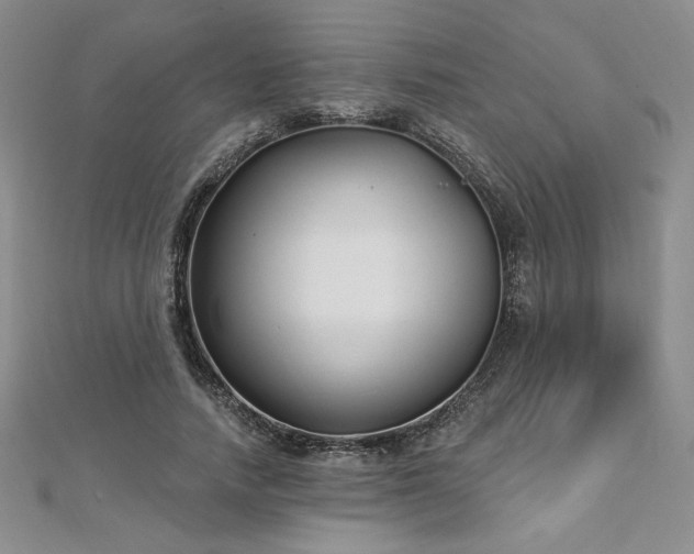 X0000113160738200909041255