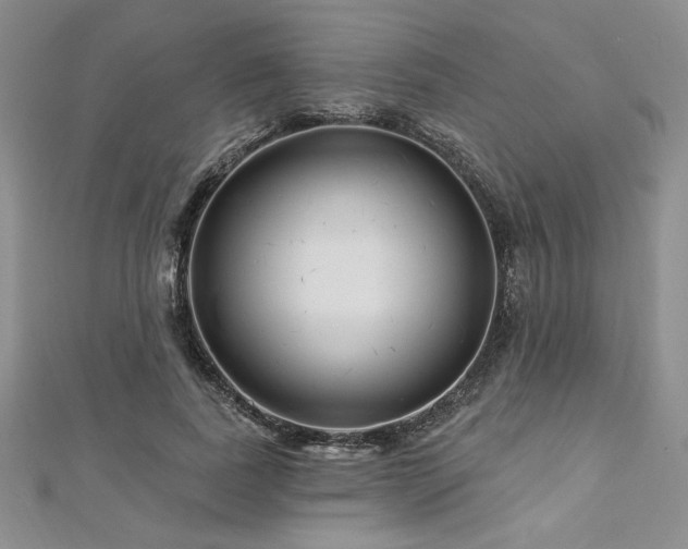 X0000113160739200909041255
