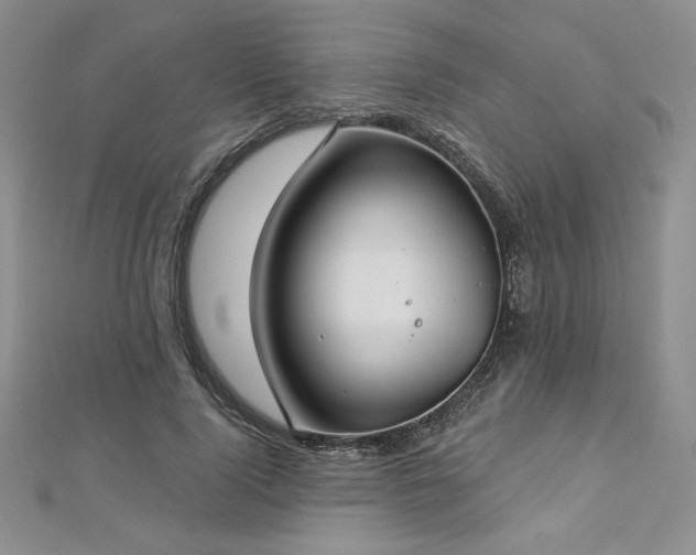 X0000113160740200909041255