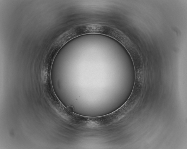 X0000113160741200909041255