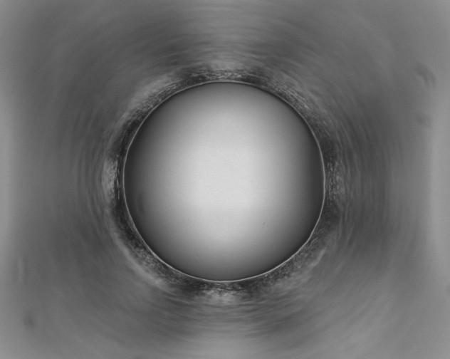 X0000113160742200909041255