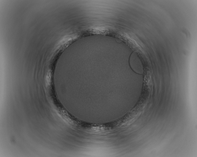 X0000113160744200909041255