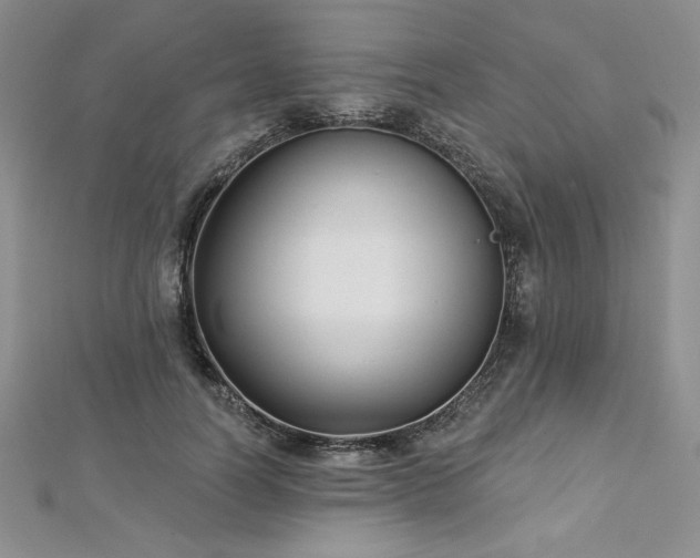 X0000113160746200909041255