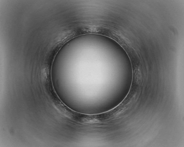 X0000113160747200909041255
