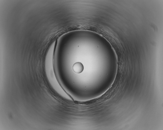X0000113160748200909041255