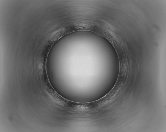 X0000113160749200909041255