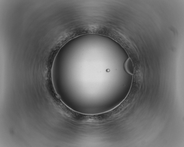 X0000113160750200909041255