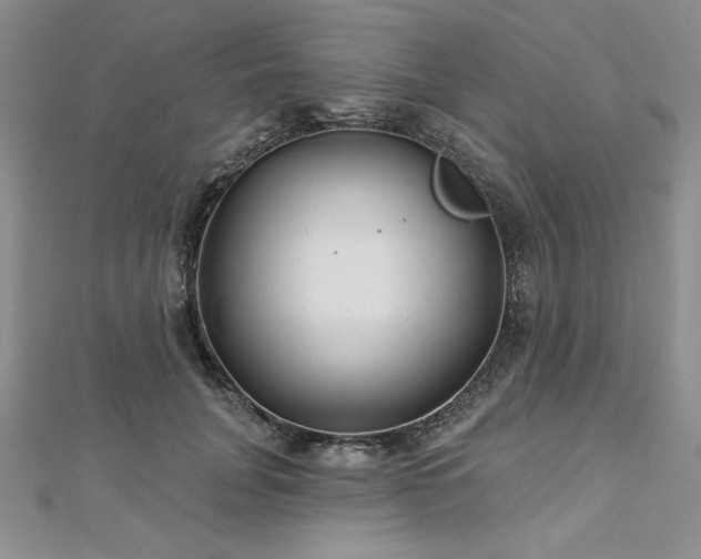 X0000113160751200909041255