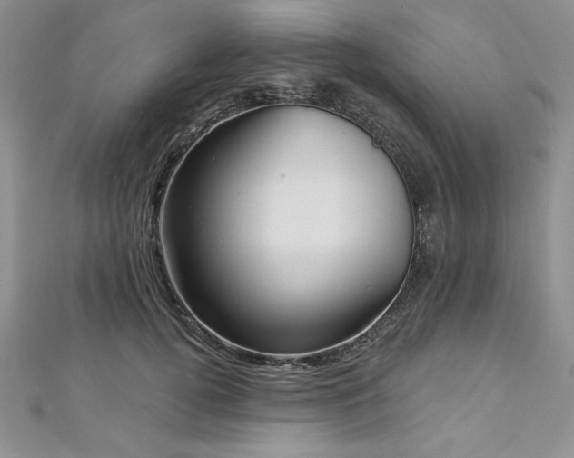 X0000113160752200909041255