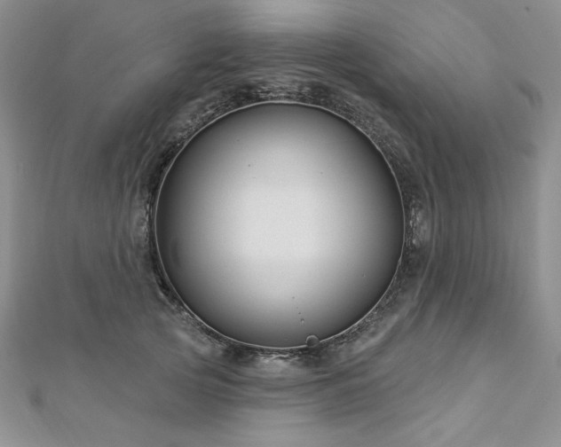 X0000113160753200909041255