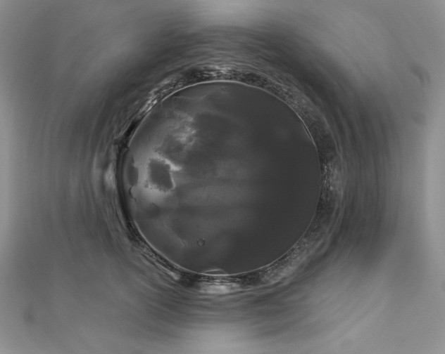 X0000113160754200909041255