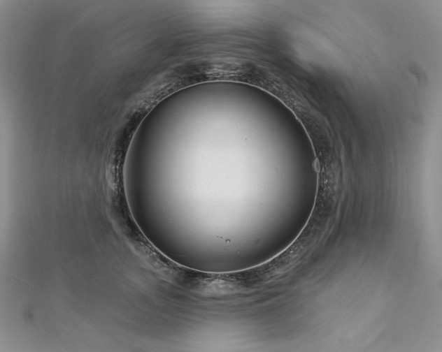 X0000113160755200909041255