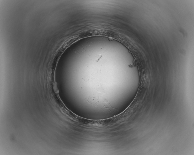 X0000113160756200909041255