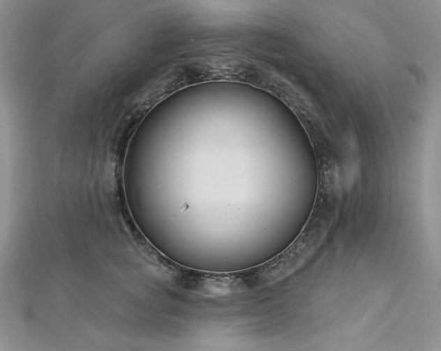 X0000113160757200909041255