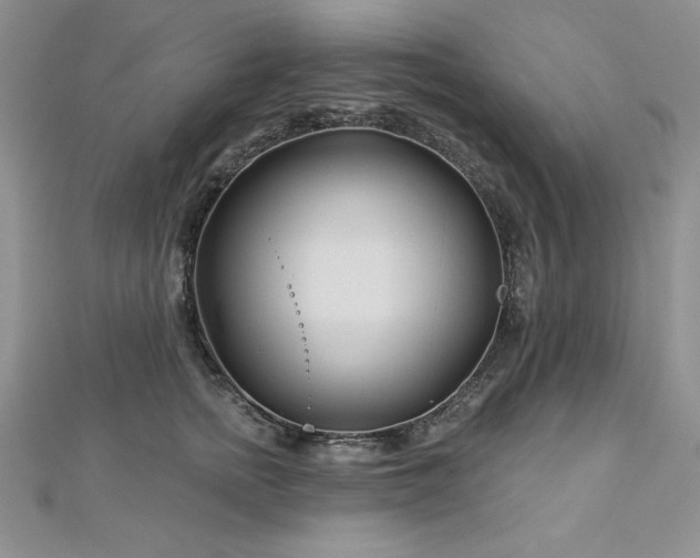 X0000113160758200909041255