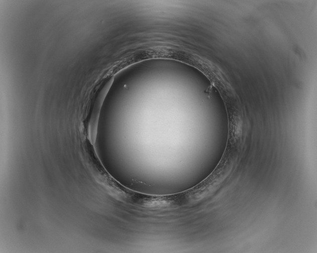 X0000113160759200909041255