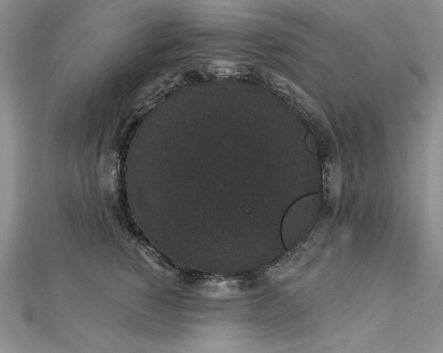 X0000113160760200909041255