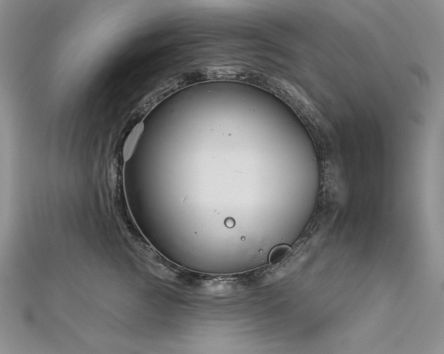X0000113160761200909041255