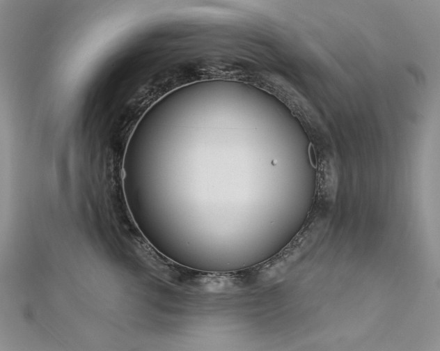 X0000113160762200909041255