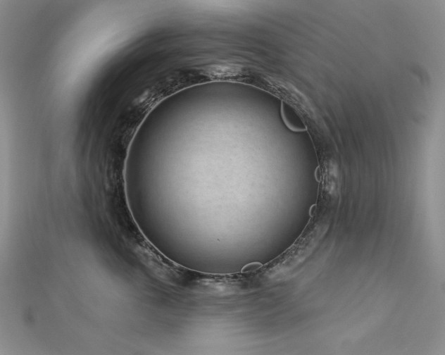 X0000113160763200909041255