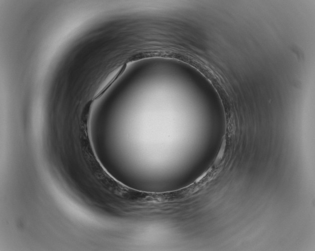 X0000113160764200909041255