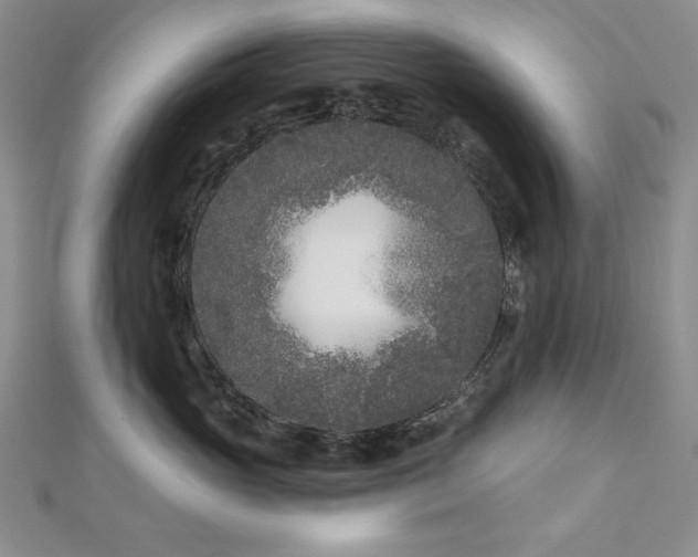 X0000113160765200909041255