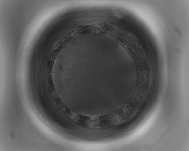 X0000113160767200909041255