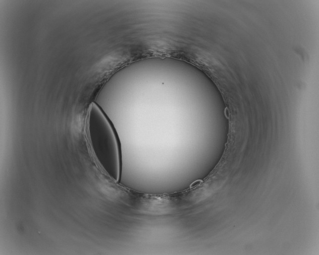 X0000113160768200909041255